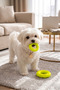 Small Breed and Puppy Dog Bite Ring 7cm - Set of 2 Teethers and Educational Play Set - 3