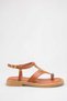 Non-Slip Sole with Gold Stone Details, Women's Sandals with 2 cm Heel - 2