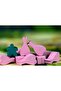 Caylus 1303 - 5