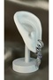 Angel Wing and Evil Eye Bead Figured Earring Set