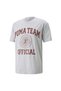 Men Team Graphic Tee - Gray