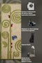 Sdt Ladybug and Insect Figured Ivy Spiral Patterned Beige and Green Woven Base Decorative Carpet Sdt1372 - 6