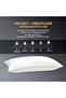 ® Elegance Pillow 50X75 cm With Gold Cord Bed Pillows for Sleeping Hotel Luxury Standard Soft Fluffy Pillows Pack of 1 - 3