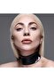 Lady Gaga Monster Lip Crayon Lipstick and Lip Liner - Lip Pencil - 2