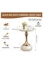 Coffee Tables Nordic Accent End Sofa Metal Gold Oak Round Modern Side Set Living Room Black - 5