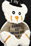 Teddy Series Lightweight School and Children's Backpack, Large Volume with Teddy Bear, Daily Use - 8