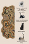 Sdt Shape Theme Patterned Modern Woven Base Decorative Carpet Sdt1613 - 5