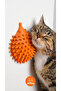 Cute Hedgehog Cat Scratching Toy That Can Be Sticked to the Wall - Self-Scratching Device