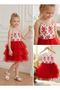 Girl's Pearl Strap Guipure Tutu Dress Birthday Party Special Occasion Dress