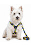 Adjustable Scarf, Chest Harness and Travel Strap Set of 3 - 4