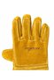 Leather Dog and Cat Catching and Holding Glove Animal Gloves - 5