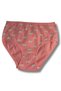 Women's 6-Piece Cotton Lycra Towel Mesh Detailed High Waist Panties Set 2186 - 2