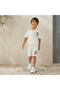 Collared Neck Short Sleeve Polo T-shirt and Shorts Set with Chameleon Print