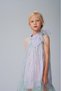 Dsl0571 Lilac Party Dress - 7