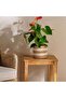 Reina Sea Grass Planter D17xh18cm - Natural