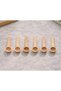 Kamptek Wooden Mini Round Spice Spoon Set - Natural Handmade Precision Measuring Salt Coffee Jar Spoon - 6
