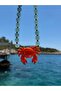 Sunset crab