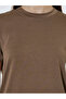 Brown Plain Regular T-Shirt - 4