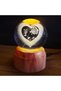 Rotating Glass Globe Heart Rose with USB