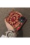iPhone 12/12 Pro Compatible Hard Acrylic Back Silicone Edge Lens Protection Case - 4