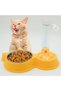 2-in-1 Pets Food Bowl with Automatic Water Dispenser – Double Pet Feeding Station with Stainless Steel Food Dish and Water Feeder for Cats, Kittens, and Small Dogs, Non-Slip Design