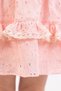 2-5 Years Old Girl's Powder Lace Detailed Dress - 6