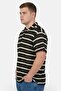 Men Regular Fit Stripe Short Sleeve Polo Shirt, Multicolor - 3