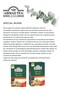7 Pieces of Pour-Over Tea Special Blend 400 g and Raccoon Mug Gift - 2