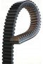 Curea CVT GATES