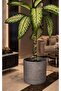 Wicker Flower Pot, Multi-Purpose Wicker Basket, Garden Organizer (18X21) - 2