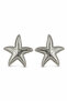 Stylish Gray Starfish Design Women's Bijouterie Earrings