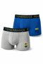 Licensed Fan Men's Boxer Briefs 2-Pack Cotton Boxer Underwear Fan Boxer Briefs Gift Canary Briefs Fb 1907 Totem Briefs Fb23077