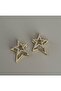 Design Gold Stone Stars Steel Earrings - 2