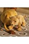 Soft toy, lion cub - 2