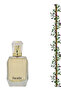 قطعتان من عطر باراديس 100 مل - 2