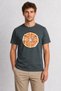 Citrus Patterned Graphic Printed T-Shirt - Smoked