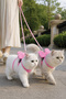 7 Piece Cat Toy and Entertainment Set |   Chest Harness, Tunnel, Play Mat, Fishing Rod and Ball - 2