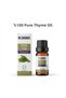 Hmd Herbal 100% Pure Thyme Oil 10 ml - Natural Essential Food Aroma and Skin Care Oil