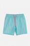 Turquoise Pink Striped Normal Length Regular Fit Men's Swim Shorts Tmnss26Ds00004 - 4