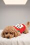 100% Cotton Summer Dog Undershirt, Combed Cotton Dog Clothing - Ketchup - 4
