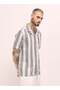 Men's Multi-Color Vertical Stripe Regular Fit Casual Shirt for Every Occasion