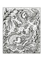 Dragons Magic Painting Book - 2