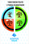 Circular Season Strip School Poster, School, Nursery, Kindergarten, Middle School Wall Sticker 100X100 Foil - 3