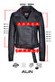 Jenner Women's Genuine Leather Belted Biker Leather Jacket Black - 4