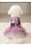 Cat Dog Outfit Pink Purple Tutu Dress