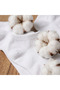 10 Pack Unisex Cotton White Bootie Socks - Women's and Men's Anti-Sweat Anti-Slip Heel - 6