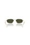 Rayban 3947 001/31 54 Unisex Sunglasses - 3