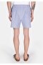 Slim Fit Striped Men's Navy Blue Sea Shorts - 2