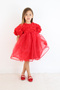 Red Rose Detailed Tulle Skirt Girl's Dress - Nelia - 2