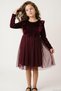 Girls' Long Sleeve Velvet Dress with Bow Accessories, Tulle Piece Ruffle, 4-8 Years, Burgundy